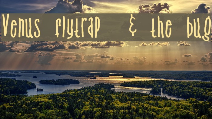 Venus flytrap & the bug Font examples