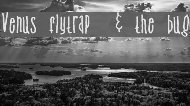 Venus flytrap  & the bug Font examples