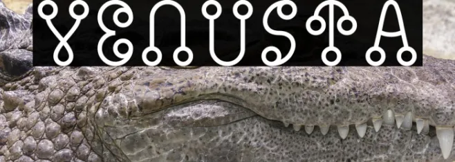 Venusta Example 2