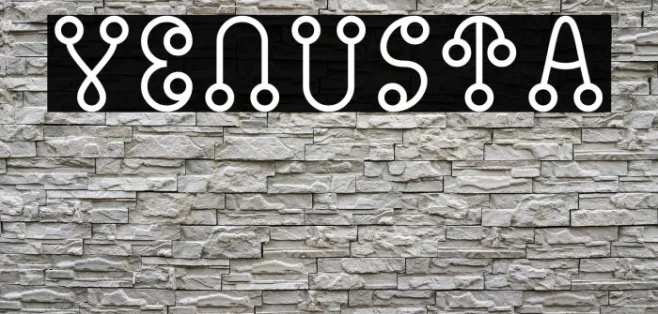 Venusta Example 3