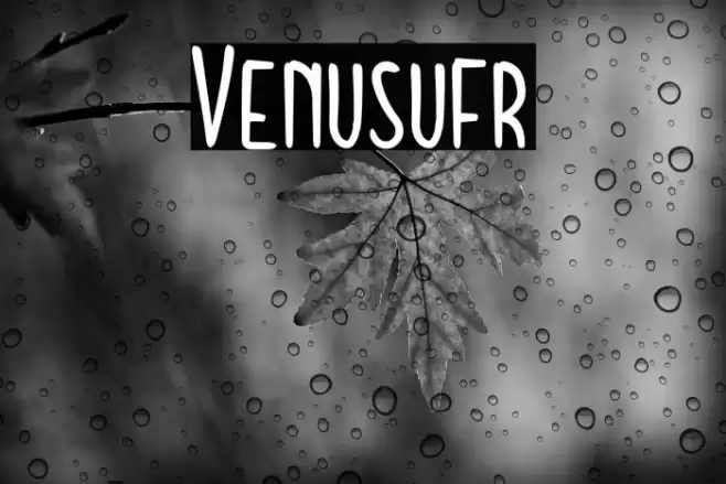 Venusufr Font examples