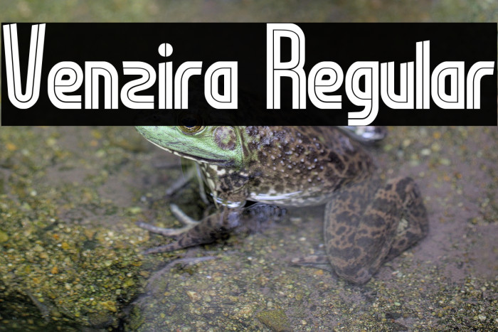 Venzira Regular Шрифта examples