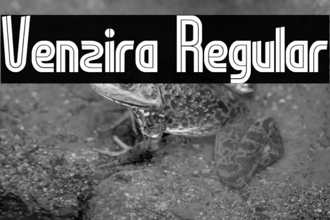 Venzira Regular Font examples