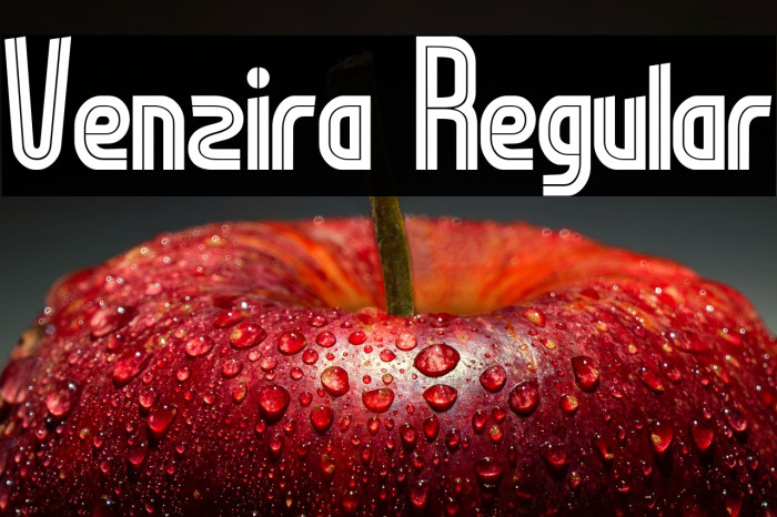 Venzira Regular Шрифта examples