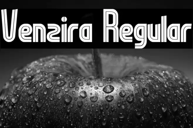 Venzira Regular Font examples