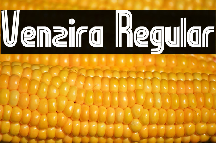 Venzira Regular Шрифта examples