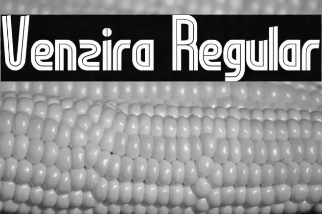 Venzira Regular Font examples