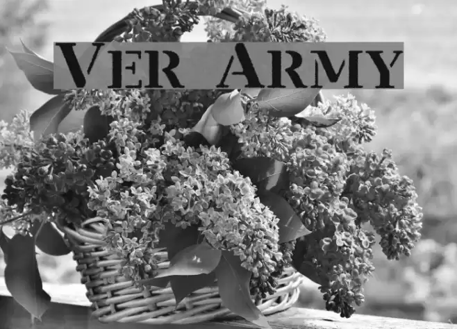 Ver Army Font examples