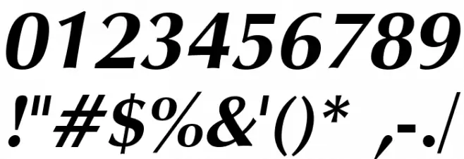 Vera Humana 95 BoldItalic Font OTHER CHARS