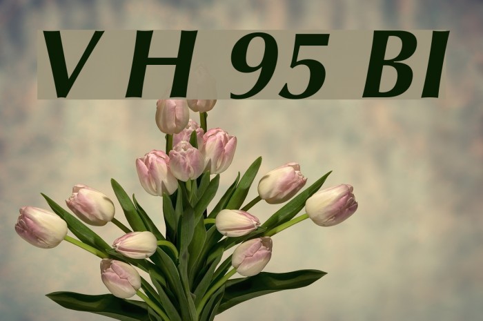 Vera Humana 95 BoldItalic Font examples