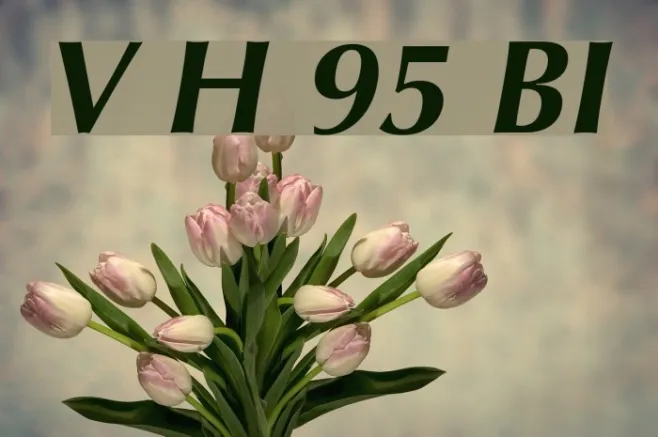 Vera Humana 95 BoldItalic Example 3