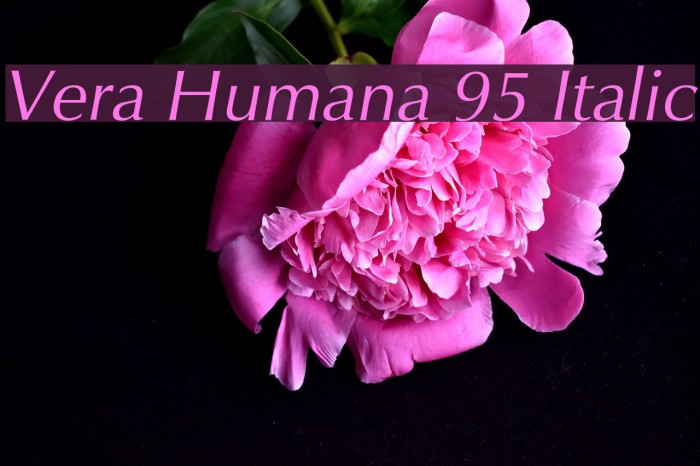 Vera Humana 95 Italic Font examples