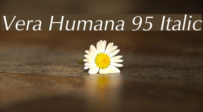 Vera Humana 95 Italic Font examples