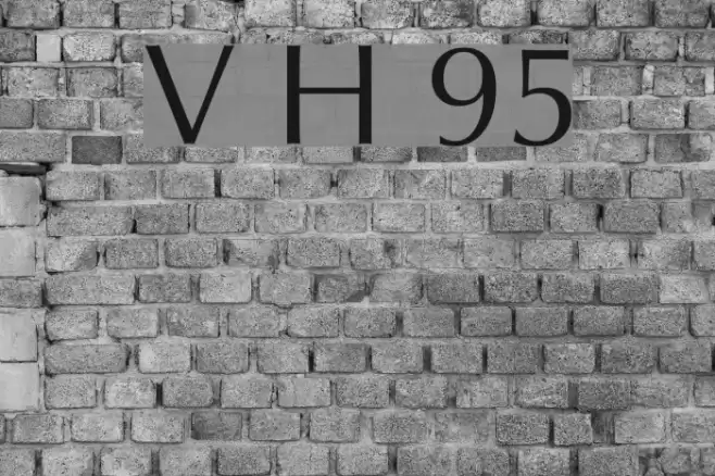 Vera Humana 95 Font examples