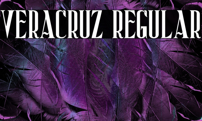 Veracruz Regular Example 2