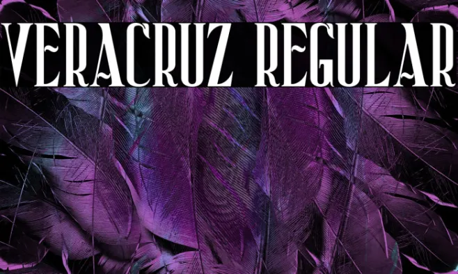 Veracruz Regular Example 2