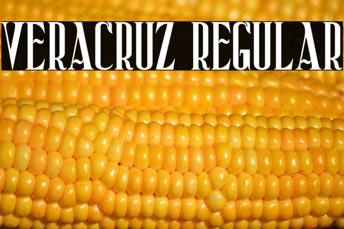 Veracruz Regular Example 3