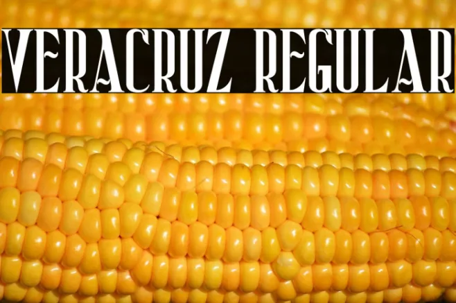 Veracruz Regular Example 3