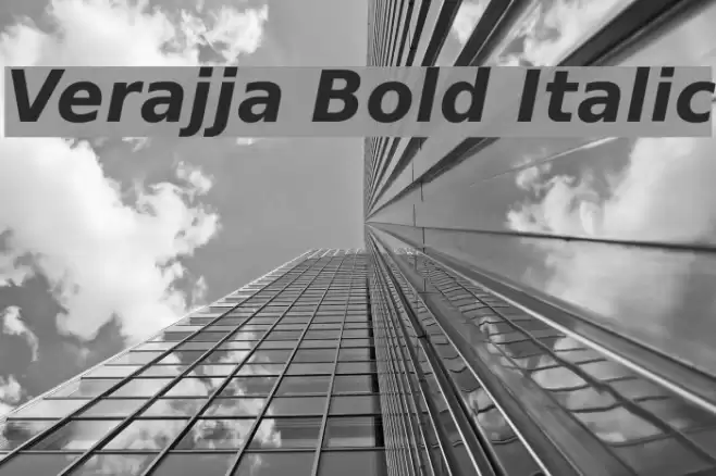 Verajja Bold Italic examples