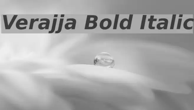 Verajja Bold Italic examples