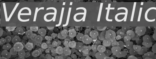 Verajja Italic Font examples