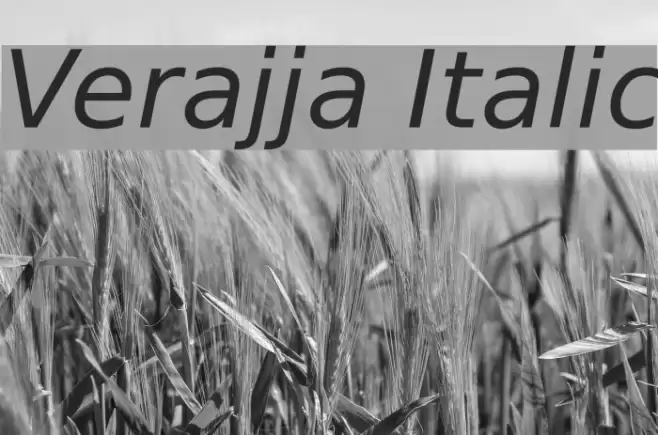 Verajja Italic Font examples