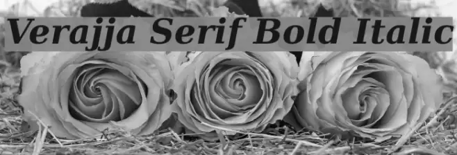 Verajja Serif Bold Italic Font examples
