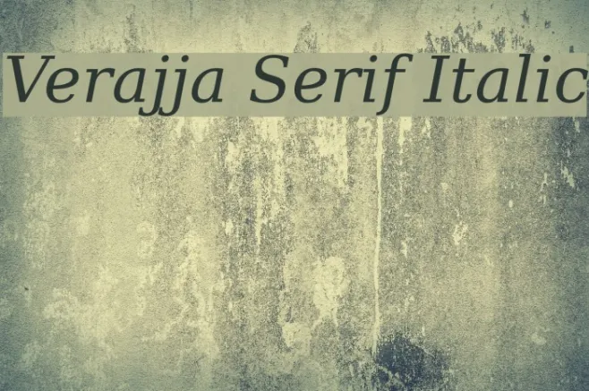 Verajja Serif Italic Example 3