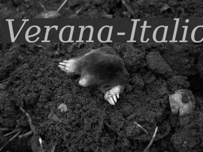 Verana-Italic Font examples