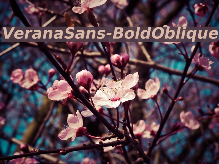 VeranaSans-BoldOblique Font examples