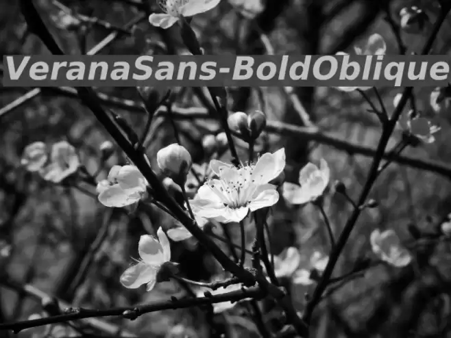 VeranaSans-BoldOblique  examples
