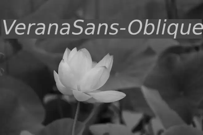 VeranaSans-Oblique Fonte examples