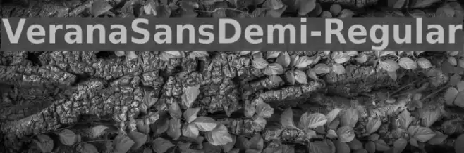 VeranaSansDemi-Regular Font examples