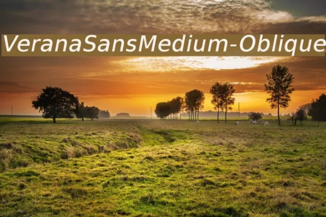 VeranaSansMedium-Oblique Example 3