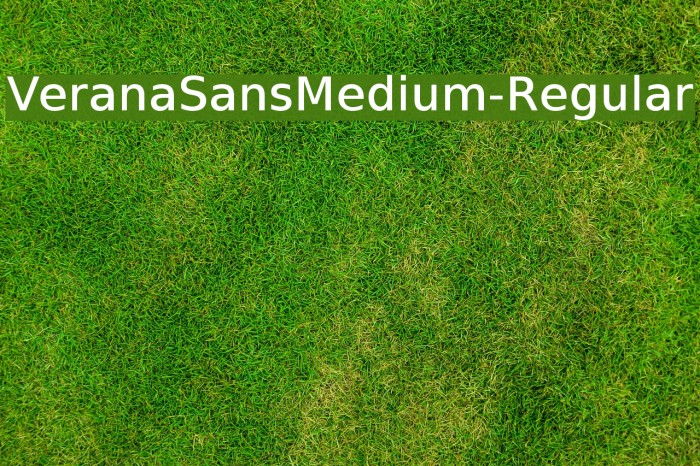VeranaSansMedium-Regular Font examples