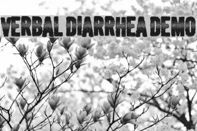 Verbal Diarrhea DEMO Font examples