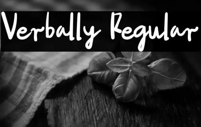 Verbally Regular Font examples