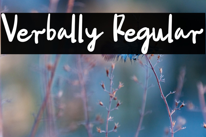 Verbally Regular Example 3