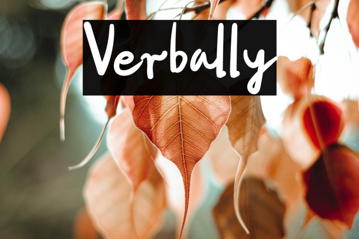 Verbally Example 2