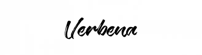 Verbena  Frei Schriftart Herunterladen