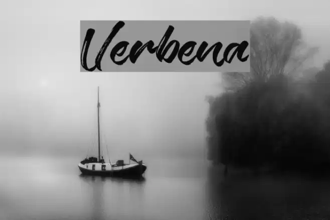Verbena Font examples