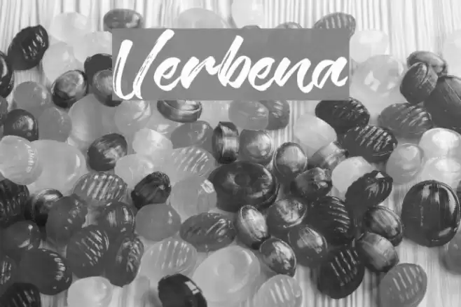 Verbena Font examples