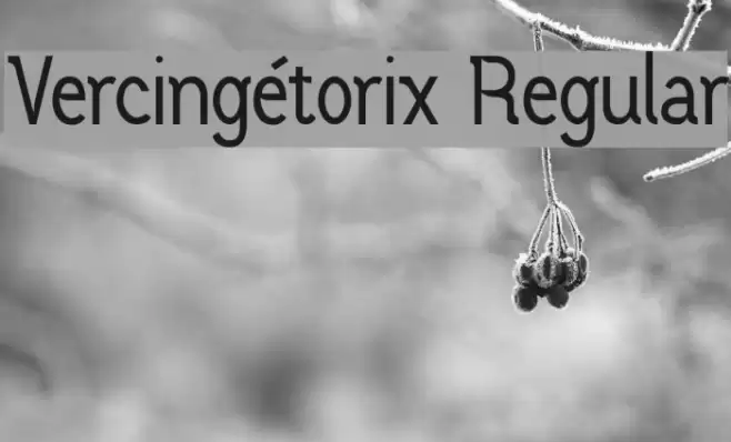 Vercingétorix Regular Schriftart examples