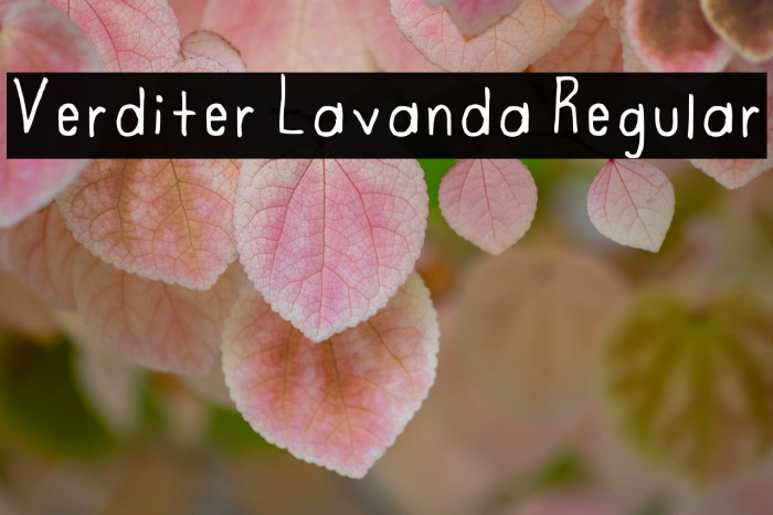 Verditer Lavanda Regular Example 1