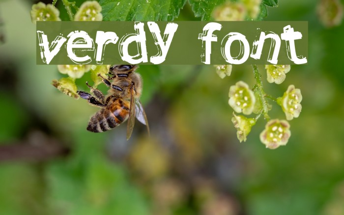 Verdy Font examples