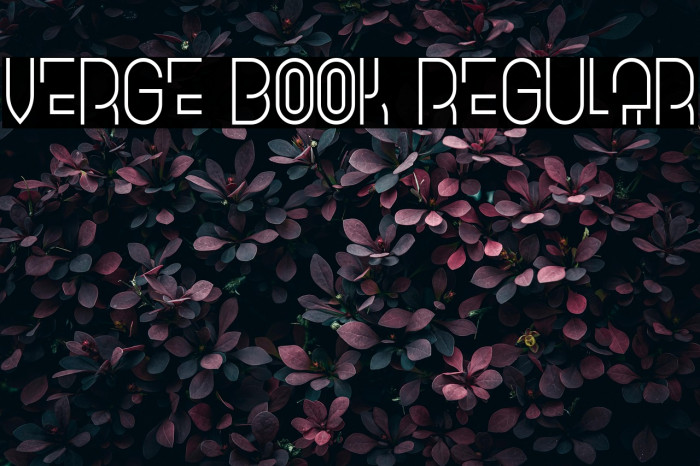 Verge Book Regular Example 1