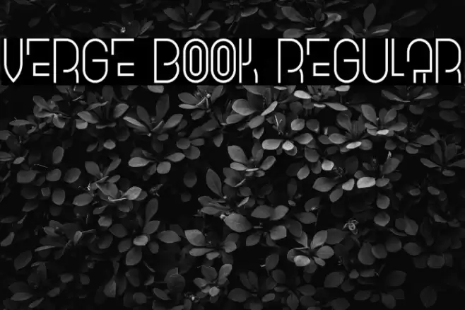 Verge Book Regular Font examples