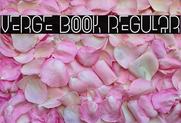 Verge Book Regular Example 2