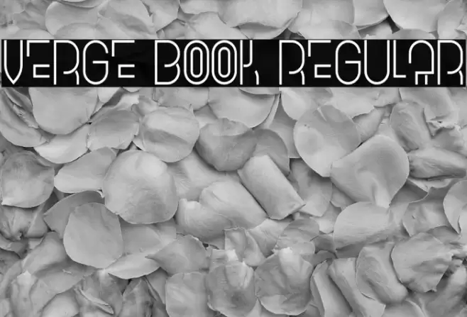 Verge Book Regular Font examples