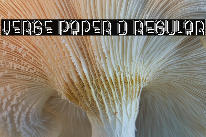 Verge Paper 3D Regular Example 2